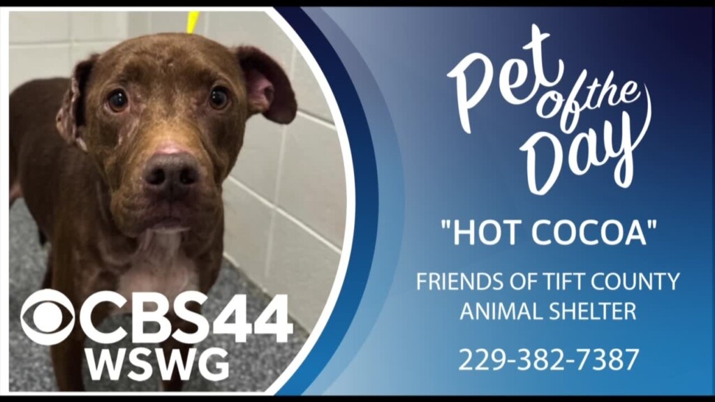 Potd 1 10 24 Hot Cocoa.mp4