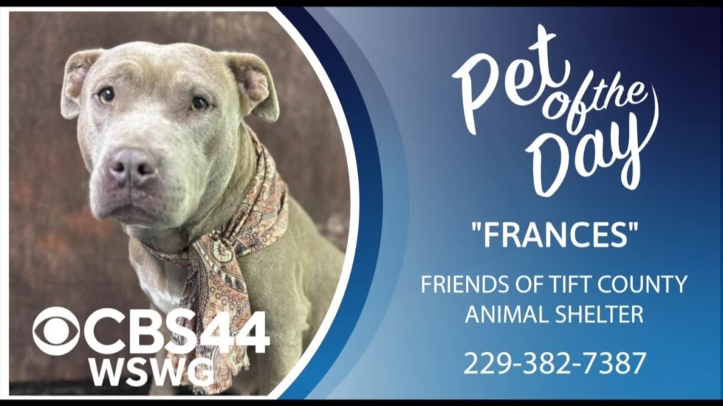 Potd Frances 1 15 25