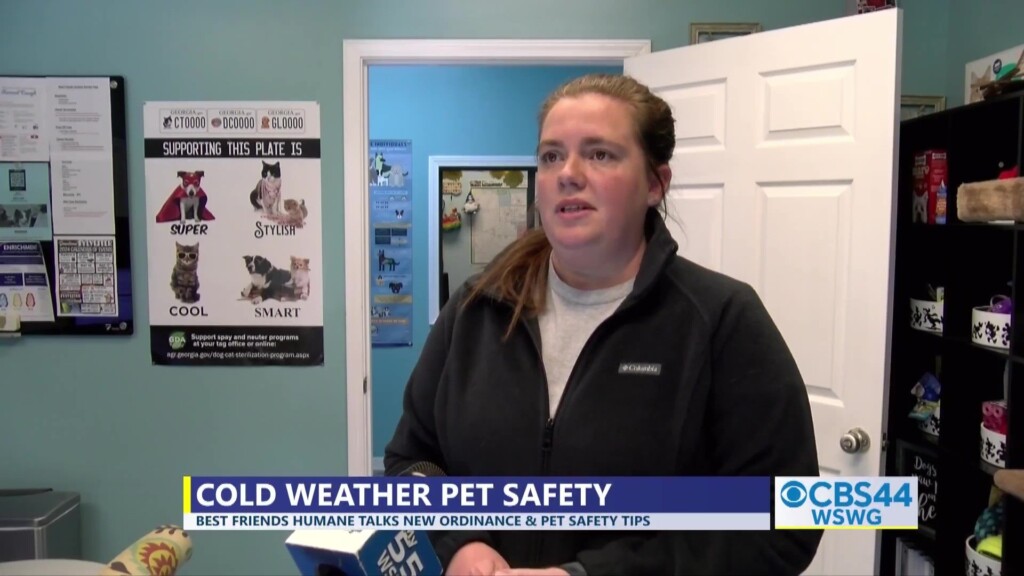 Gabe Best Friends In Worth Cold Weather Pet Safety
