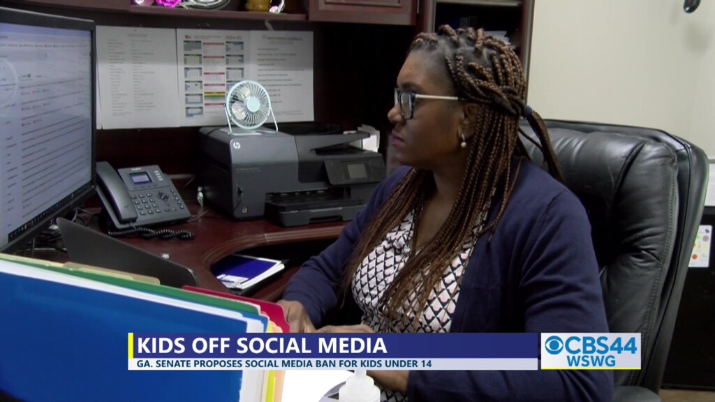 Brian Ga Senate Bill Social Media Ban