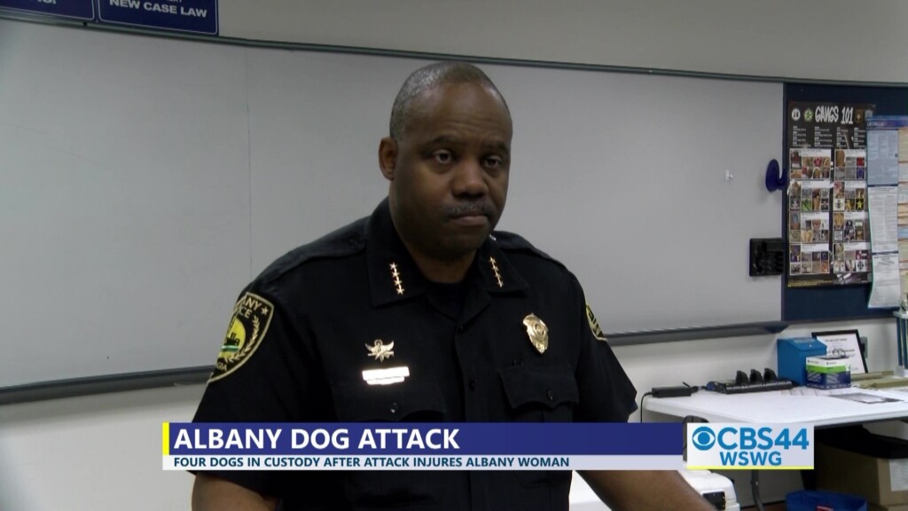 Albany Dog Vosot