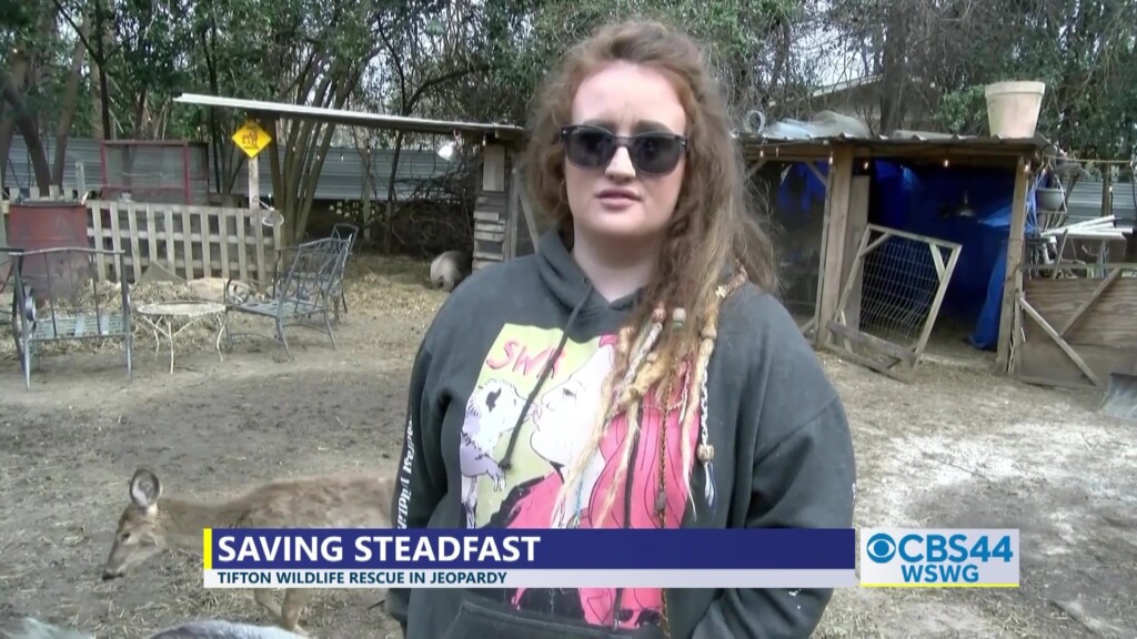 Brian Saving Steadfast Animal Rehab