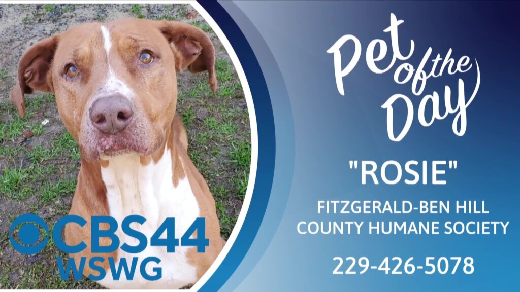 Potd Rosie 2 13 2025