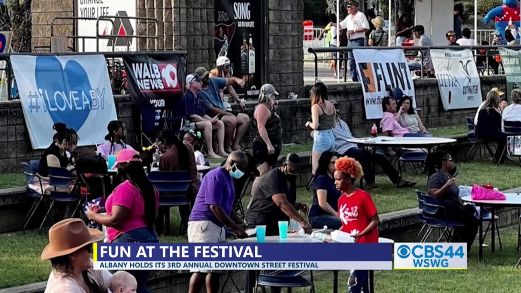 Downtown Albany Street Festival Preview