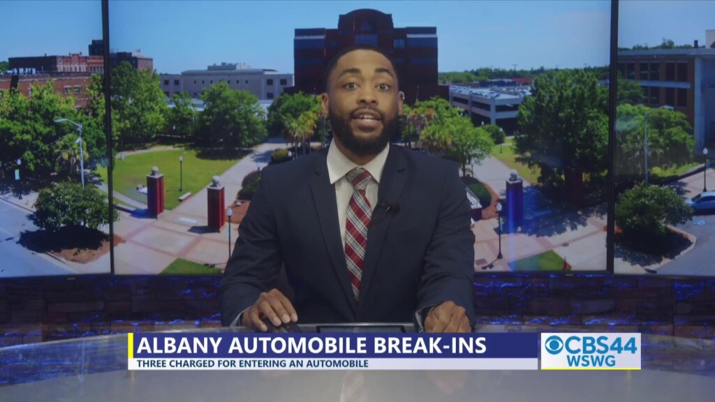 Teens Charged In Albany Automobile Break Ins