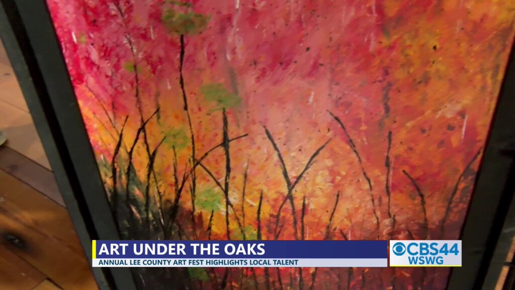 Deandra Under The Oaks Art Fest