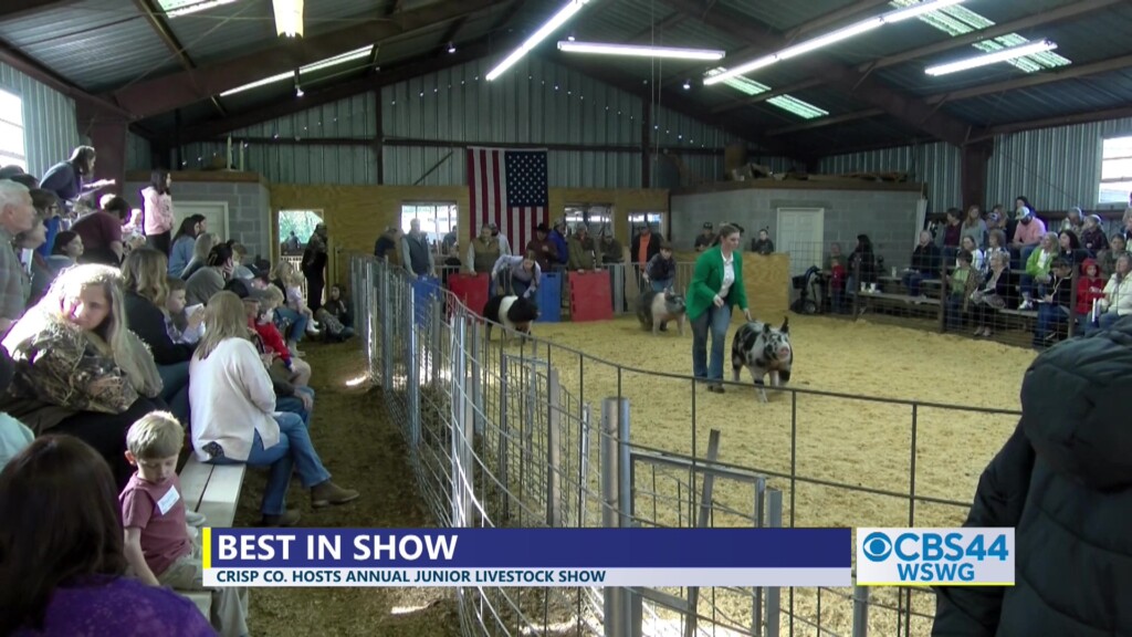 Brian Crisp Co Junior Livestock Show Vosot