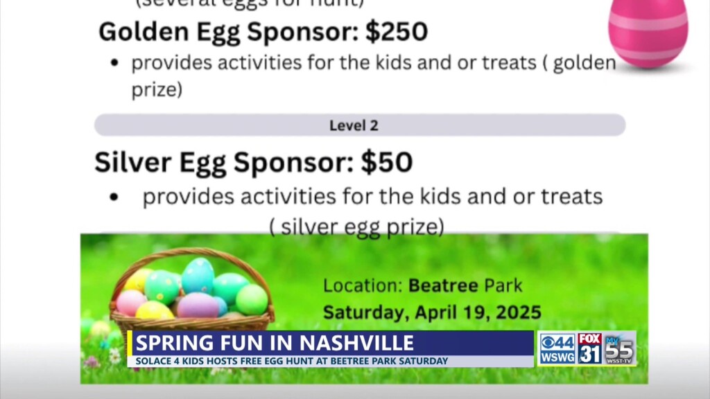 Fri. News Update 3 Nashville Solace4kids