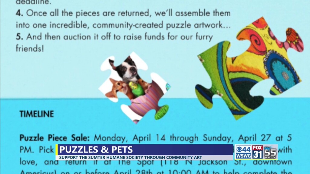 Americus Puzzles And Pets Tues 2 News
