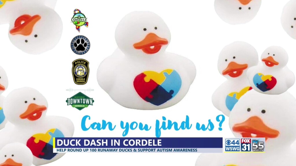 Tues. 3 News Cordele Duck Hunt