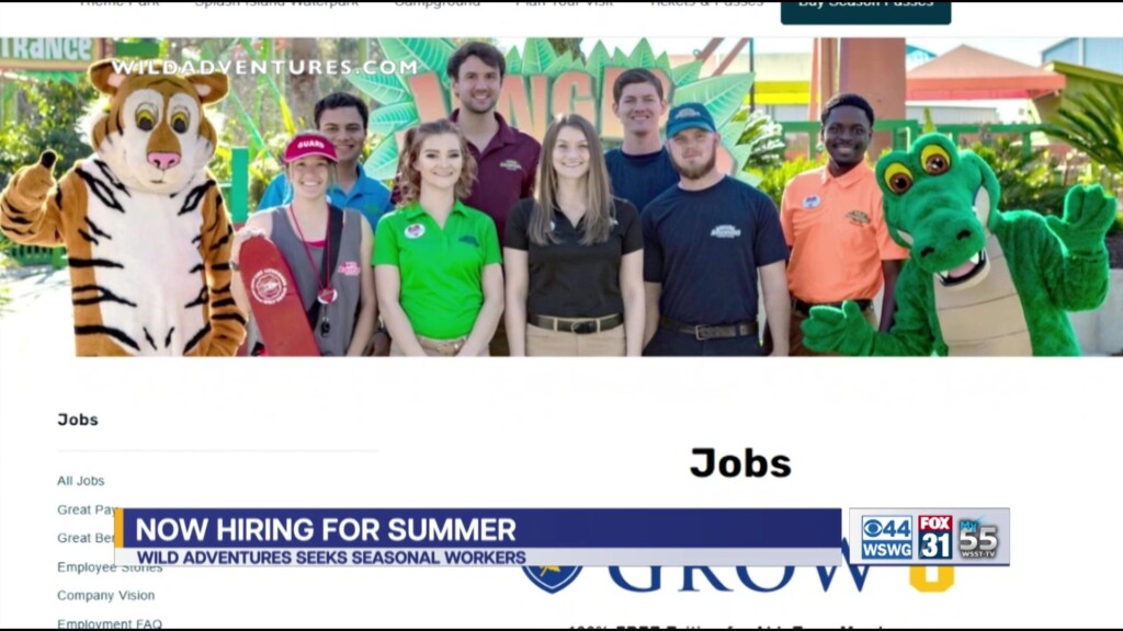 Wild Adventures Hiring Event