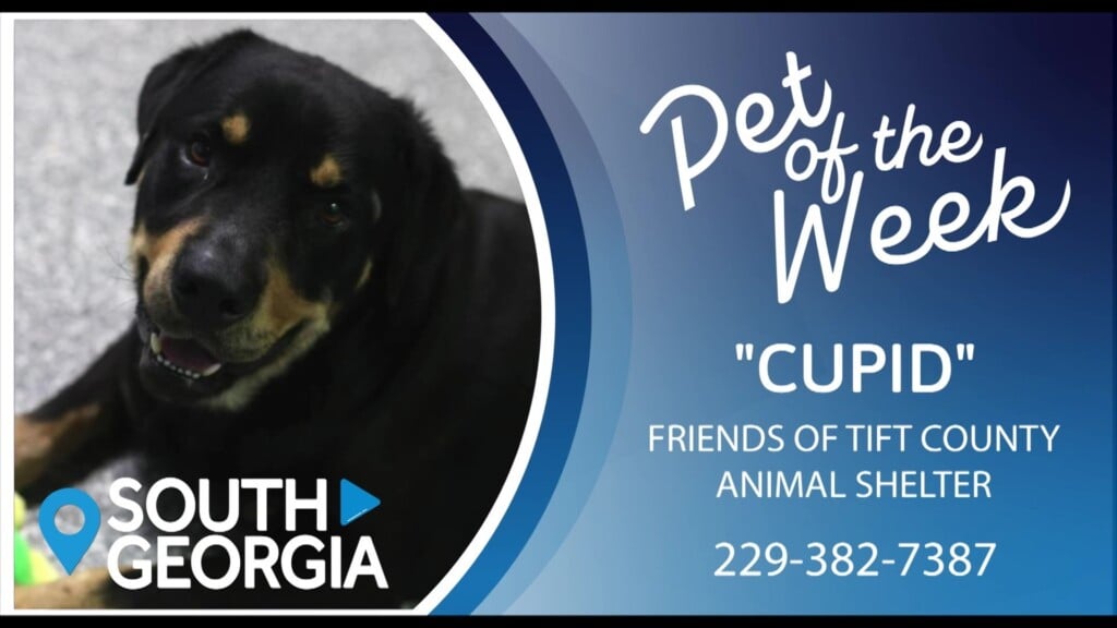 Potw Cupid