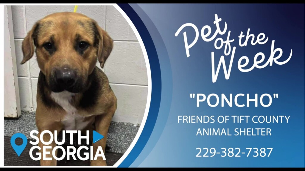 Potw Poncho