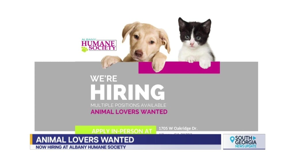 Albany Humane Society Now Hiring