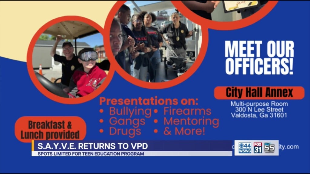 Vpd S.a.y.v.e. Initative