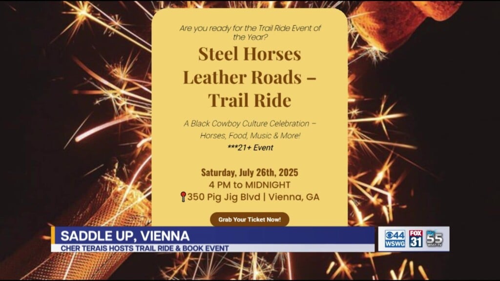 Vienna Steel Horses Leather Roads Trail Ride