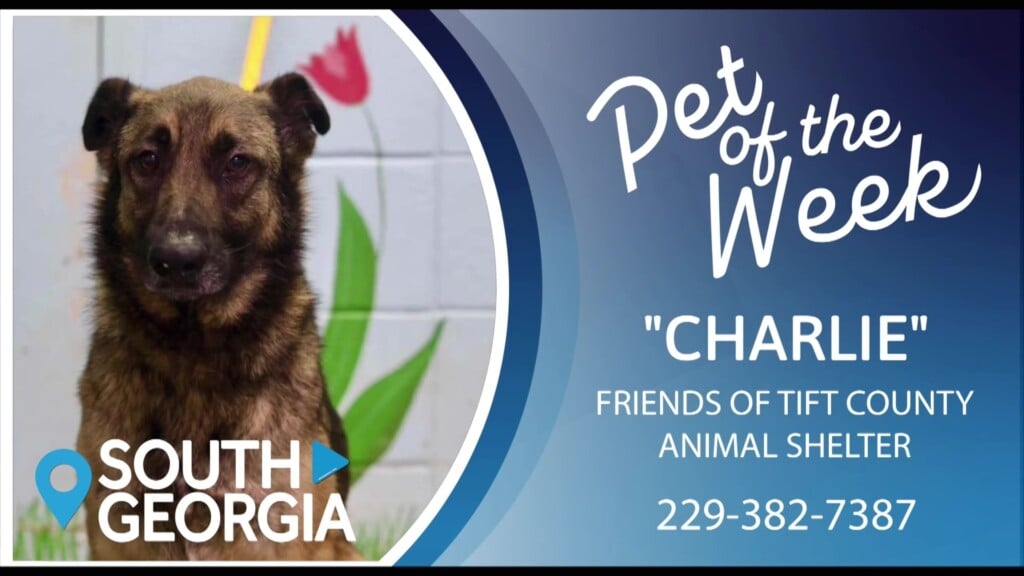 Potw Charlie