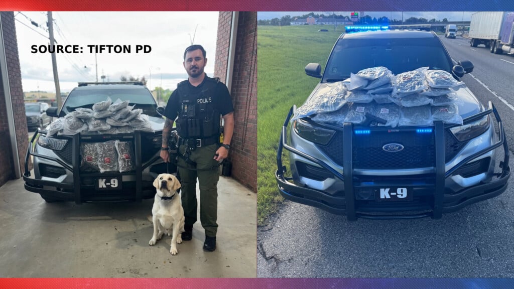 20 Pounds Of Marijuana And Firearm Seized On I 75 South By Tifton Pd Tuesday