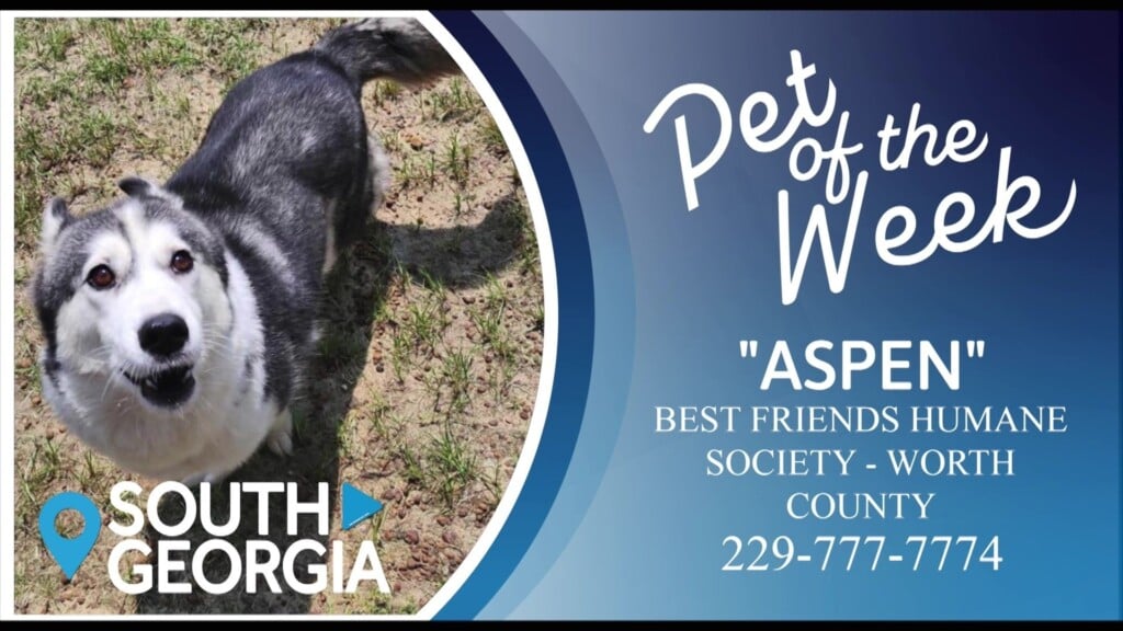 Potw Aspen