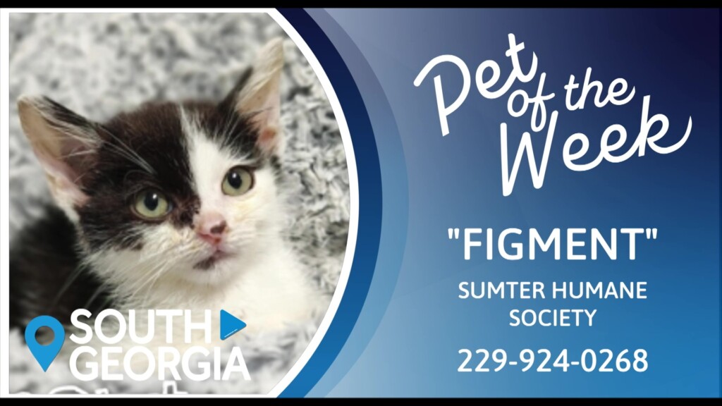 Potw Figment