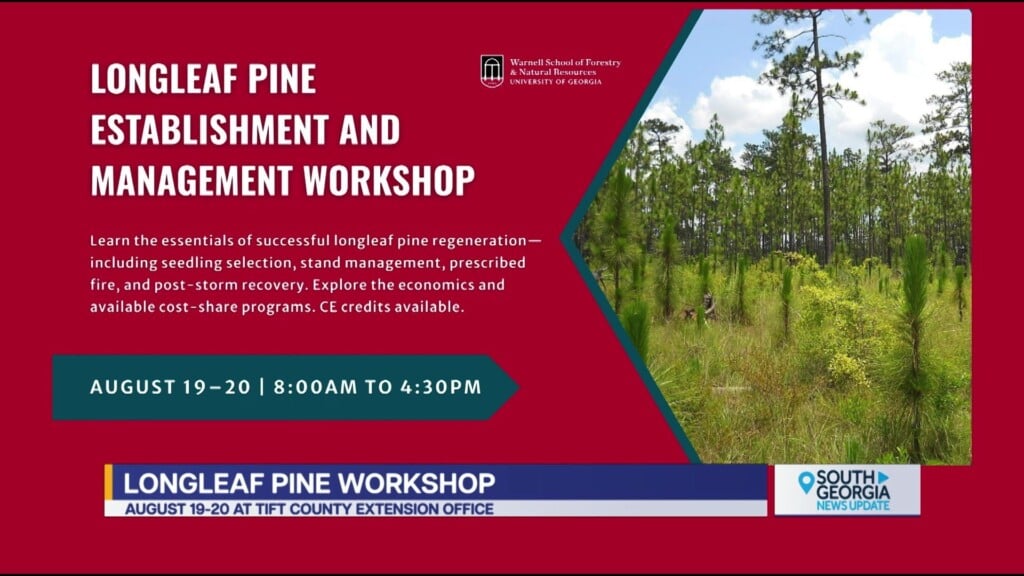 Uga Warnell School Of Forestry Natural Resources Longleaf Management Workshop