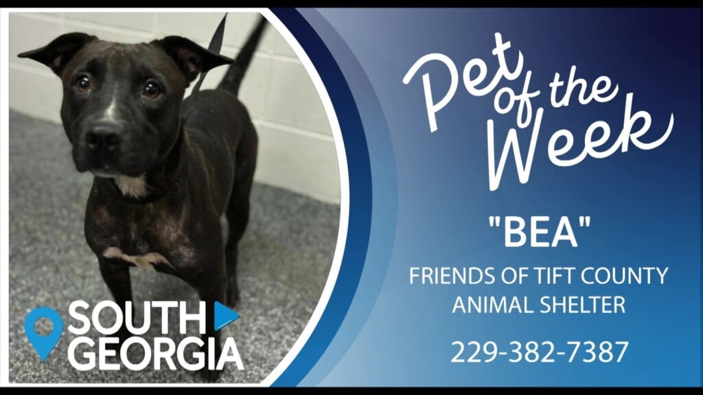 Potw Bea