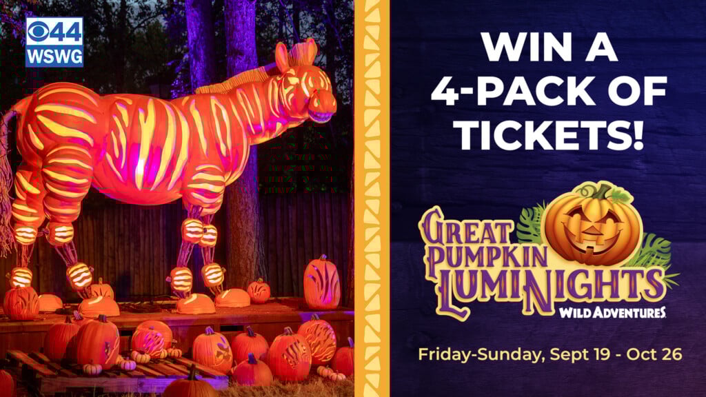 Watchandwin Haloween Cbs
