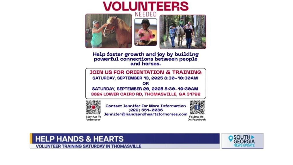 Hands & Hearts Horses Volunteers Needed