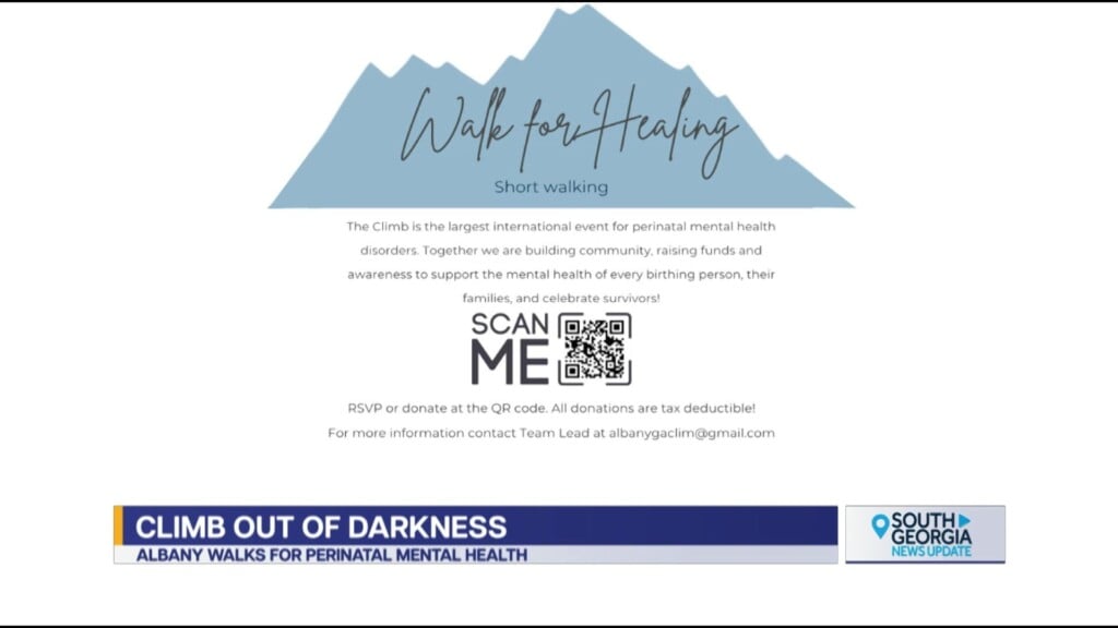 Albany Climb Out Of Darkness Perinatal Mental Health Awareness