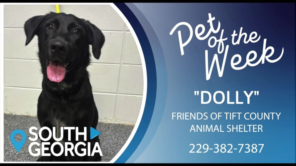 Potw Dolly