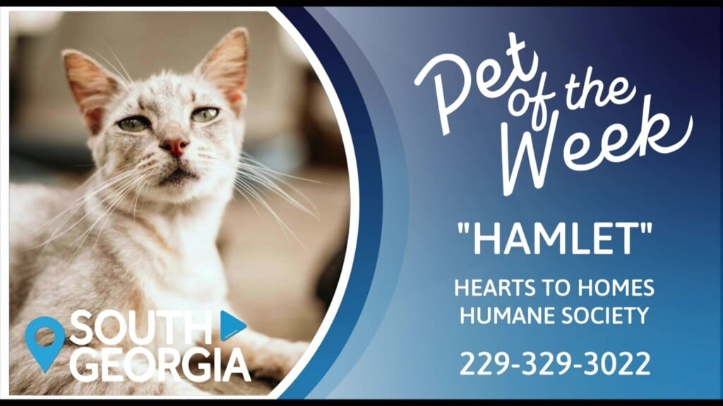 Potw Hamlet