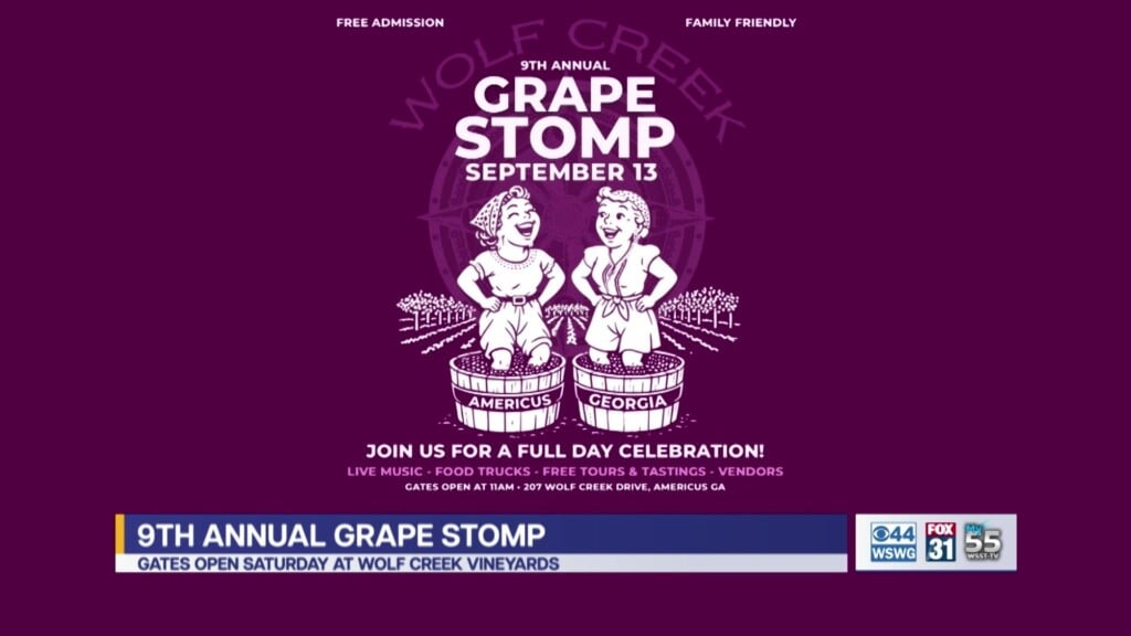 9th Annual Grape Stomp Festival Wine Creek Vineyards Americus