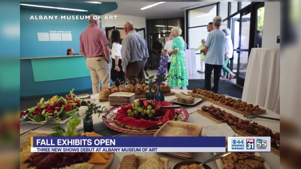 Albany Museum Of Art Fall Exhbitions Opening Reception