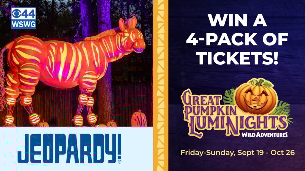 Watchandwin Haloween Cbs