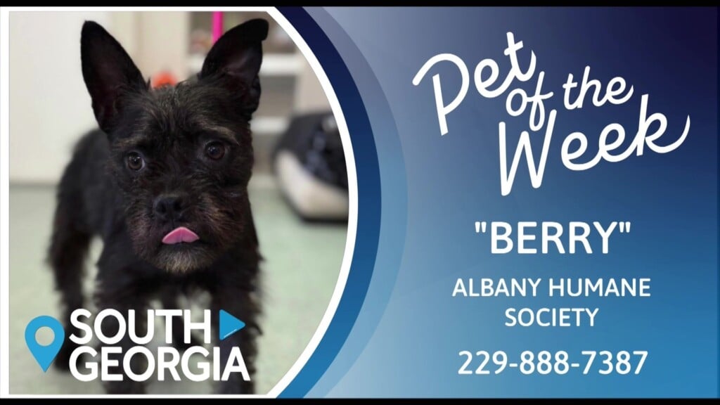 Potw Berry