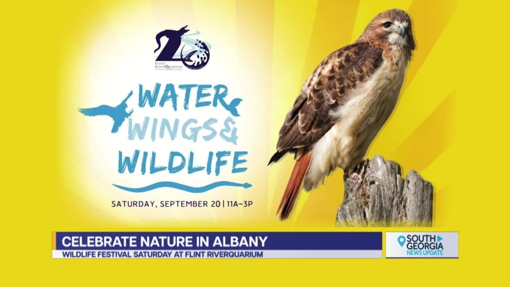 Flint Riverquarium Water Wings & Wildlife Festival