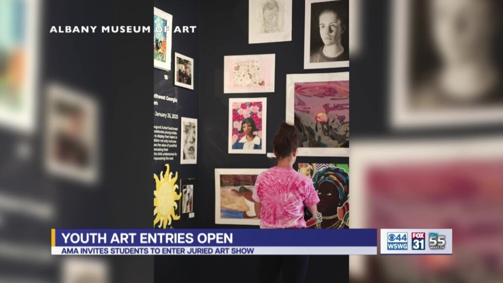 Albany Museum Of Art Youth Art Entries