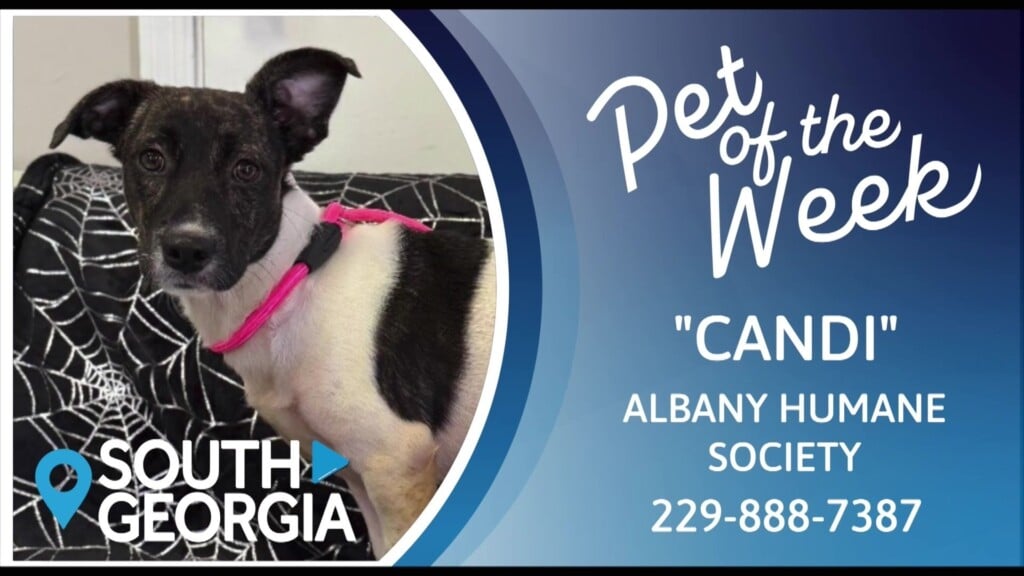 Potw Candi