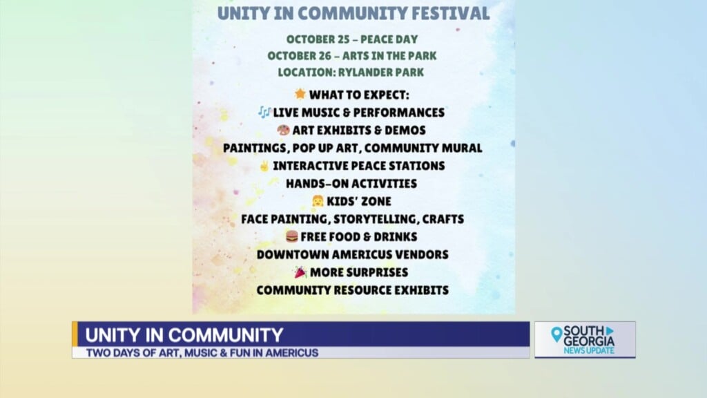 Unity In The Community Festival Rylander Park Americus