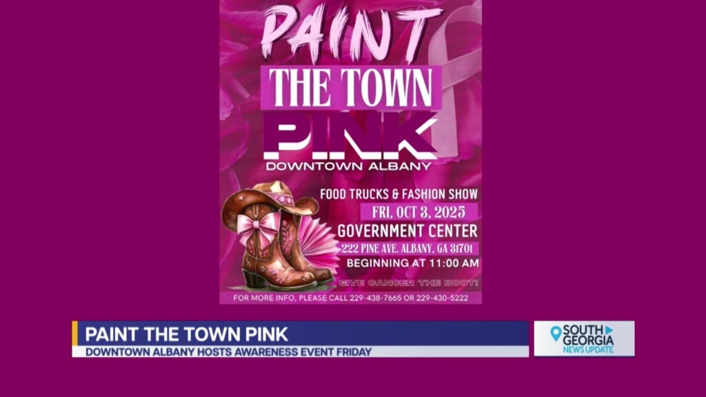 Albany Paint The Town Pink Breast Cancer Awareness