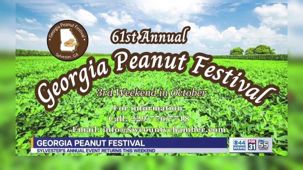 61st Annual Ga Peanut Festival Sylvester