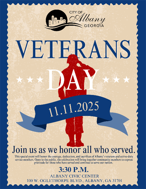 Veterans Day City Event