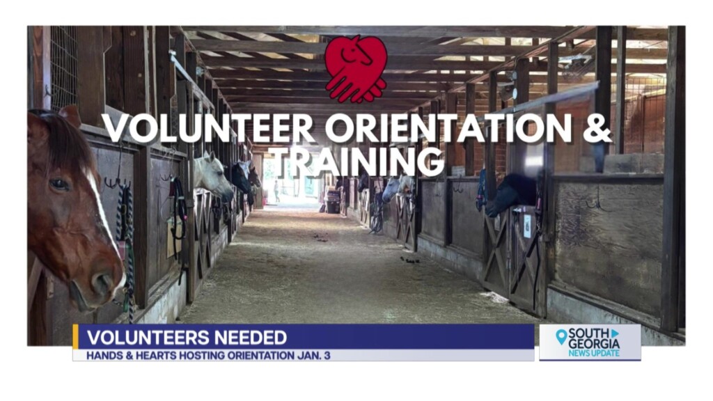Hands And Hearts For Horses Volunteer Orientation And Training Session Thomasville