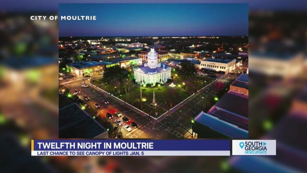 Twelfth Night At Moultrie Canopy Of Lights
