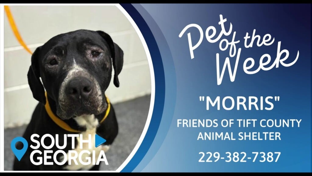 Potw Morris