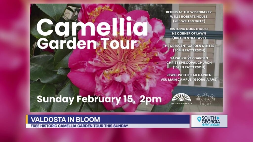 The Camellia Garden Tour Historic Blooms In Valdosta