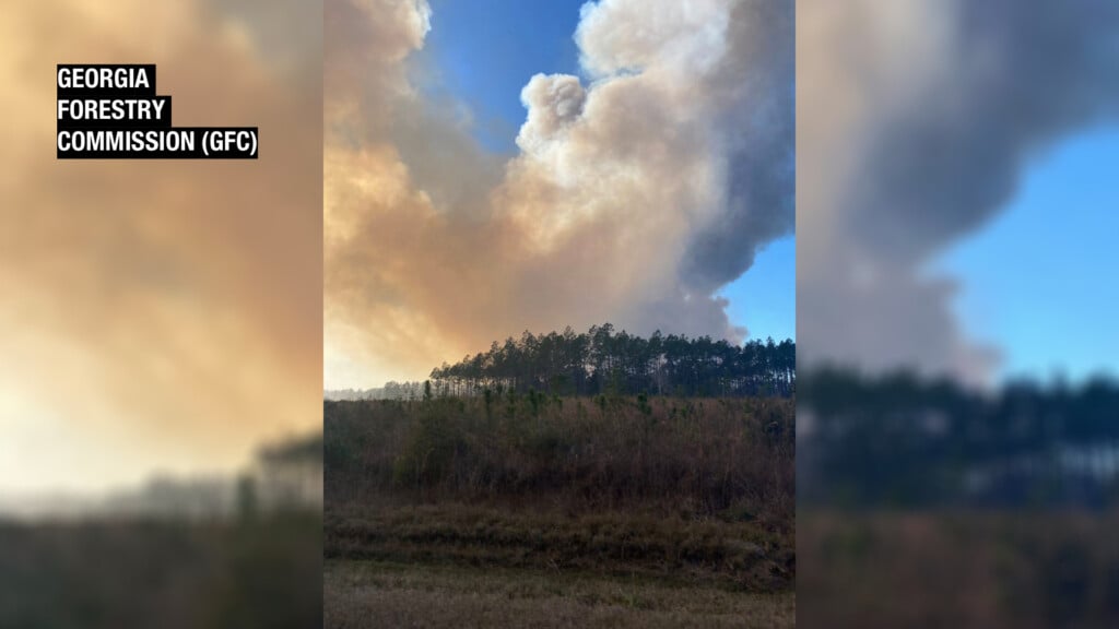 Charlton Co Hwy 301 Fire