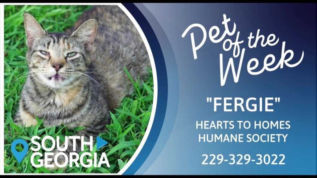 Pet Of The Week Fergie