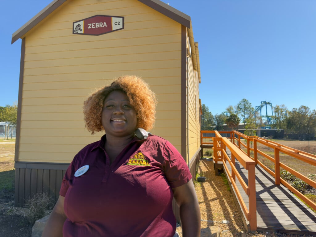 Hiring Safari Campground