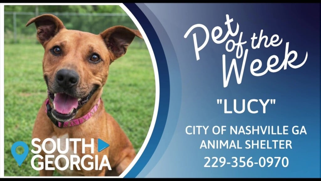 Pet Of The Week Lucy
